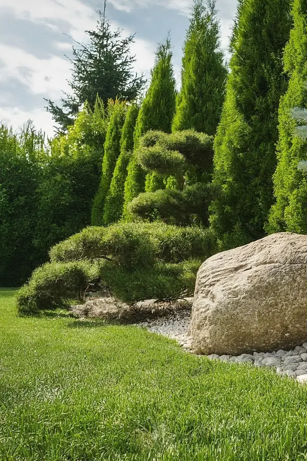 Проект 3. Скандинавский