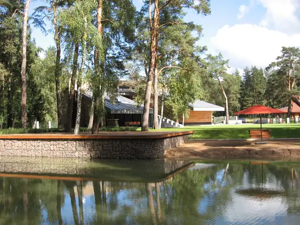 Дом в соснах у пруда