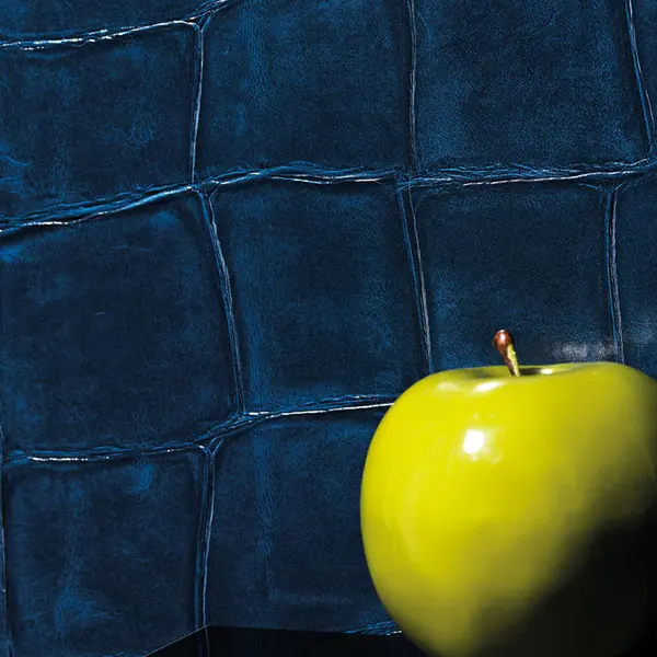 Коллекция Anguille Big Croco Galuchat