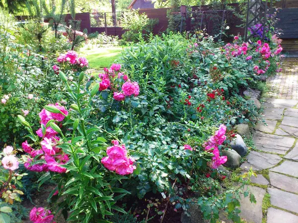 Ландшафт в природном стиле