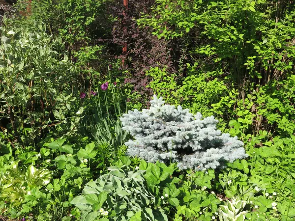 ТЕПЛЫШКО МОЕ. ВЕСНА.