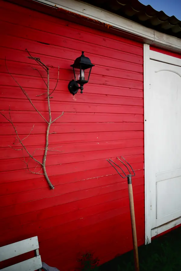 Проект благоустройства и озеленения территории в Подмосковье