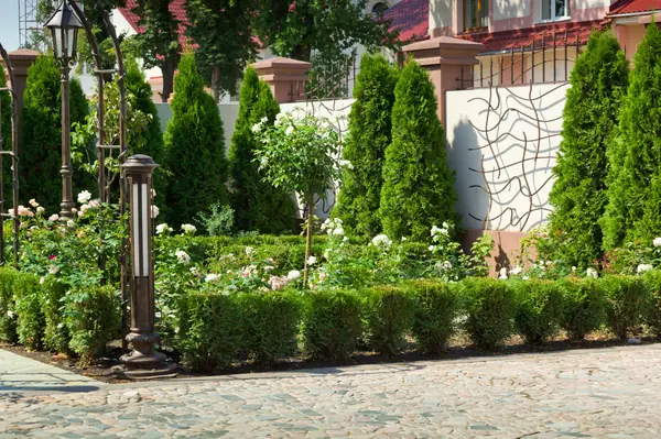 Розарий в частном саду