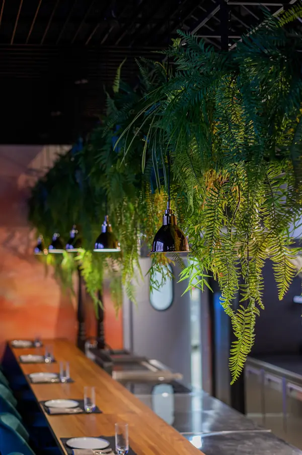 Озеленение ресторана Gravlaks (г. Светлогорск)