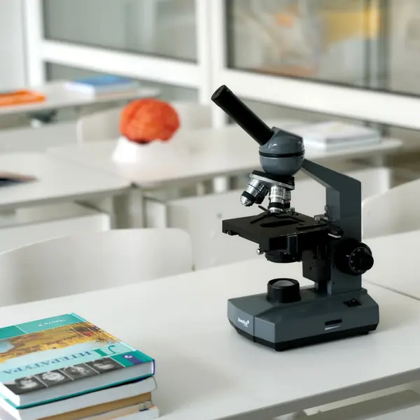 Частная школа Рид. Санкт-Петербург