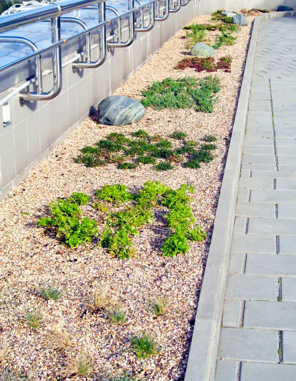 Москва-Сити, Северная башня, 2010 г.