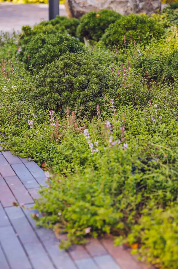 Архитектурное Решение в Пейзажном Стиле