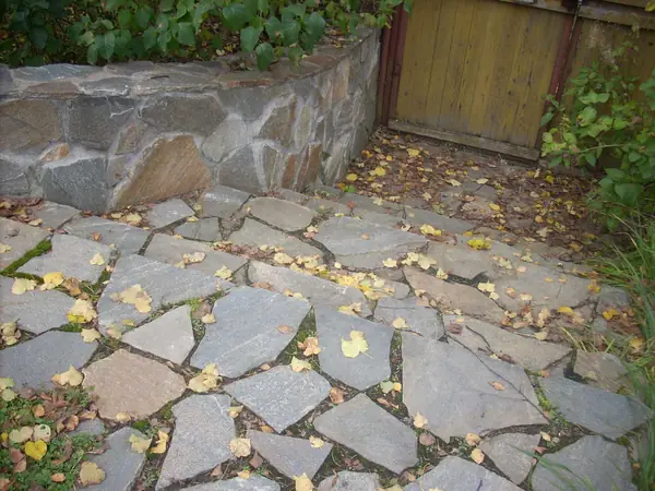 Правдино Ландшафт