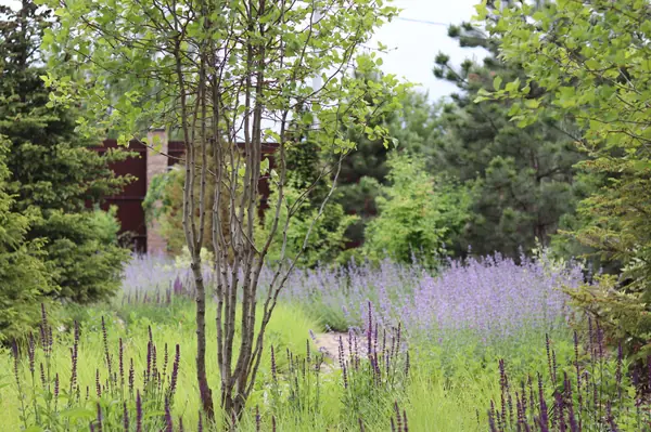 WB Парковая часть