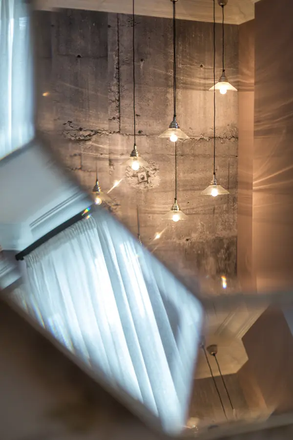 Peonies. Felt. Сoncrete.