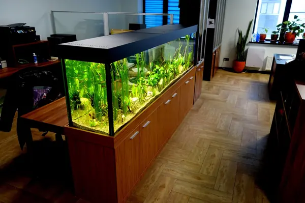 Природный аквариум