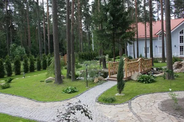 Реализация ландшафтного проекта в сосновом лесу