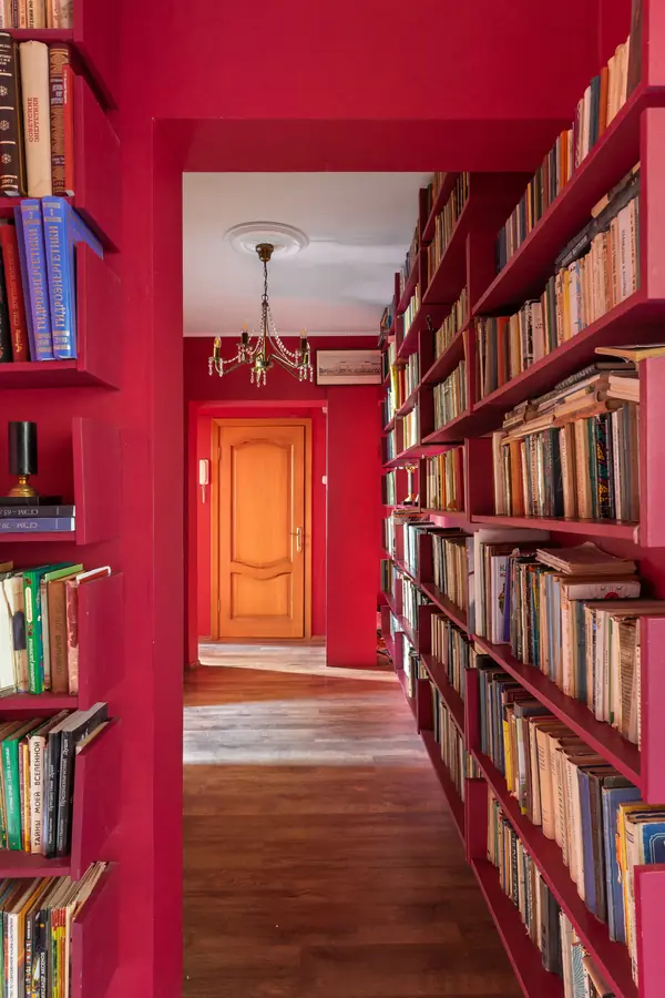 Проект Ланы Полушкиной