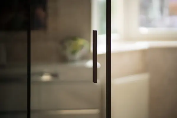 Раздвижная межкомнатная перегородка raumplus в темном тонком профиле