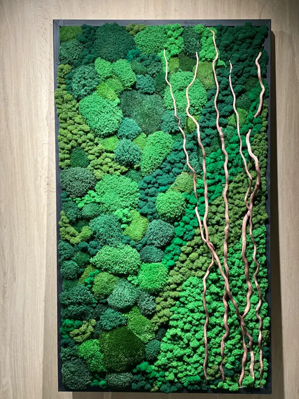 Стабилизированные и искусственные растения