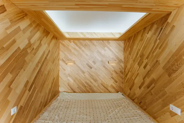 СТУДИЯ В ЭКО-ПАРКЕ «СОСНЫ»