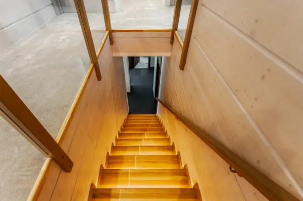 Коттедж в "Репинские дачи"