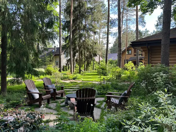 Заповедный Бор 2