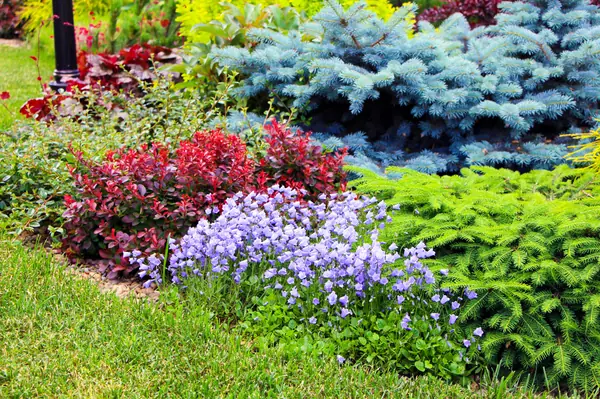 Новые Вешки