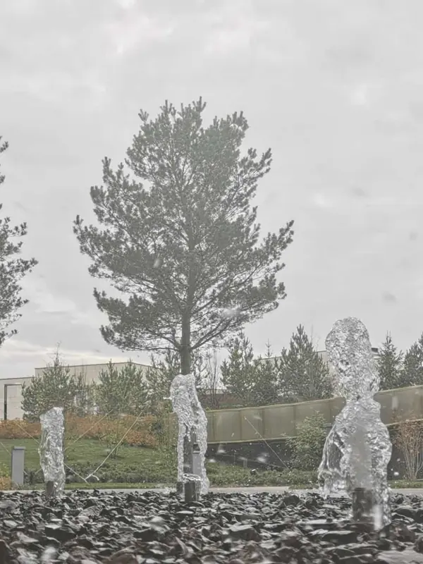 Фонтан 12 струй в Жуковке