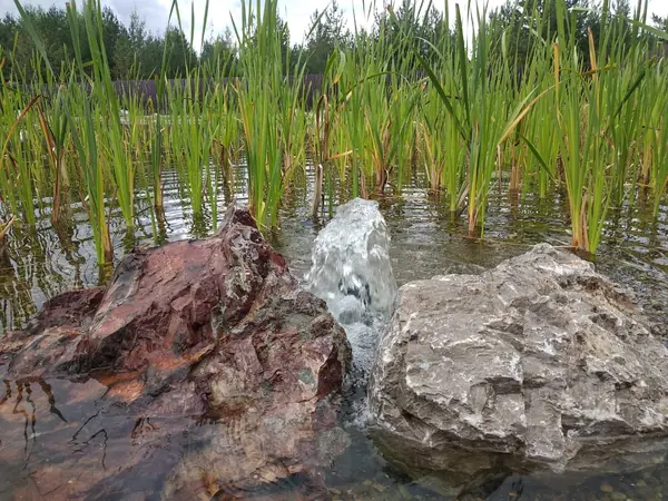 Декоративный водоём в п. Огурдино (Пермский край)