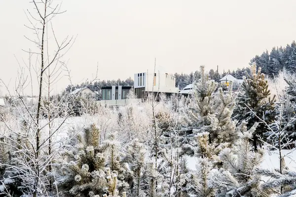 Дом на Северном склоне