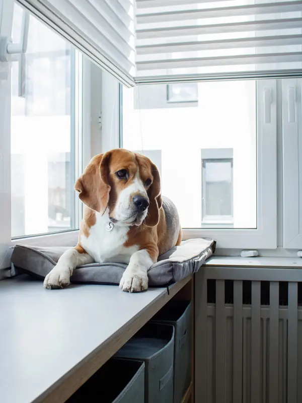 Реализованный проект в ЖК City Life