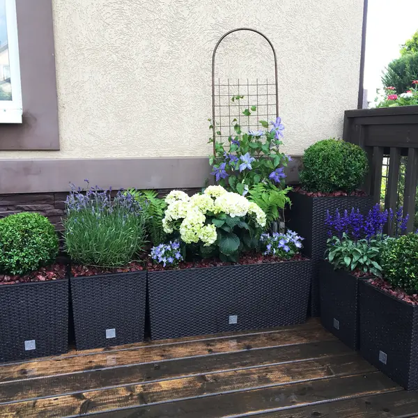 Летний сад на террасе