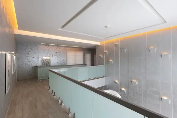 Дом с серебристыми стенами / House with silver walls