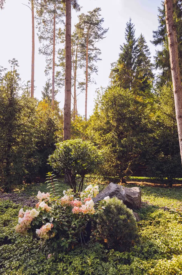 Архитектурное Решение в Пейзажном Стиле