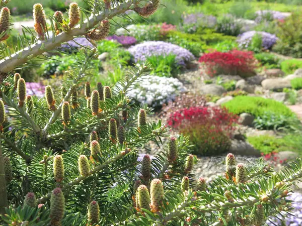 ТЕПЛЫШКО МОЕ. ВЕСНА.