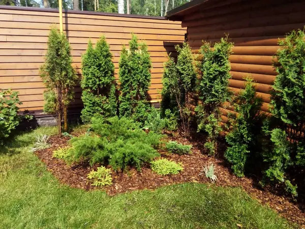 Частный участок пос.Правда