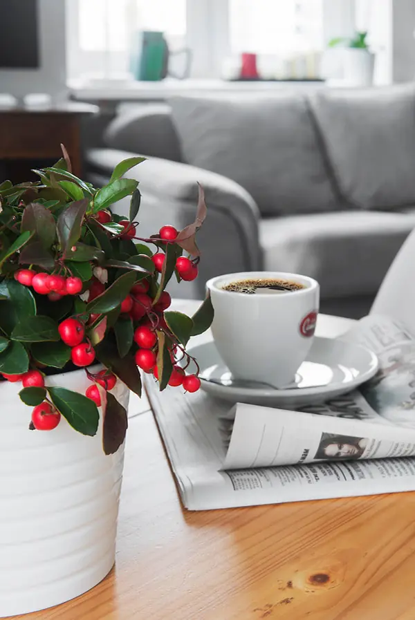 Compact Bachelor Haven in Moscow