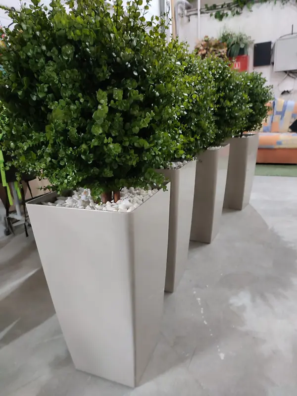 Растения для офисного пространства