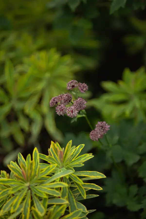 Архитектура природы