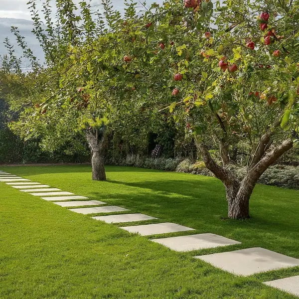 Частный сад 2. Современный