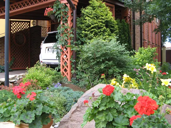 Солнечная зона палисадника