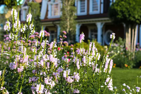 Загородный клуб