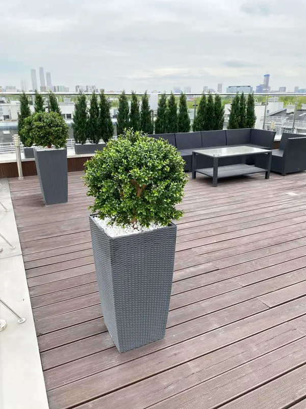 Веранда искусственное озеленение