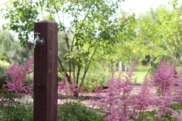 WB Берег пруда (май,июнь)