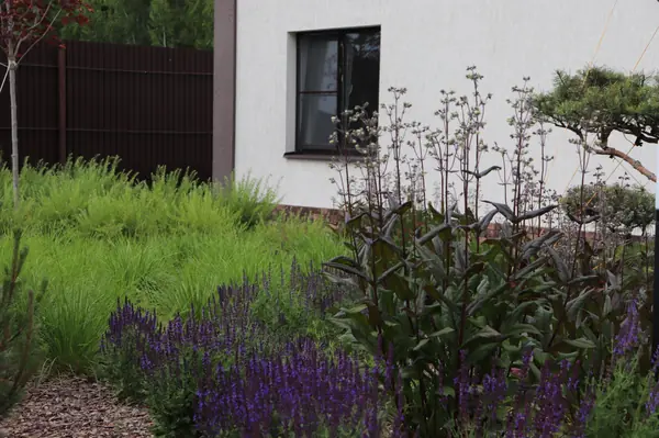 WB Парковая часть