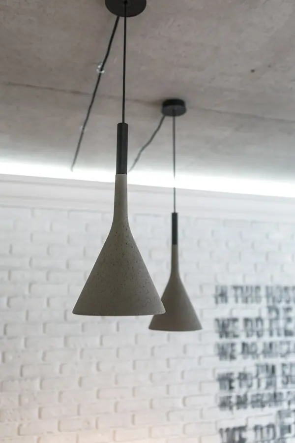 Peonies. Felt. Сoncrete.