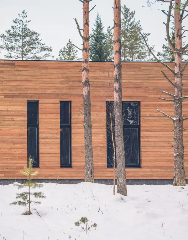 Коттедж в Охтинском парке