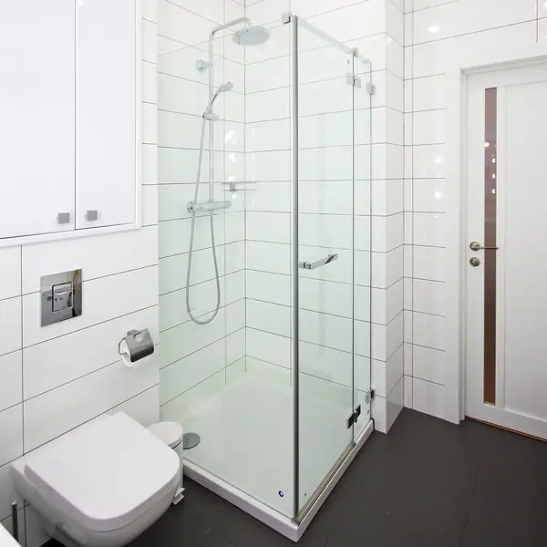 Квартира с головой оленя