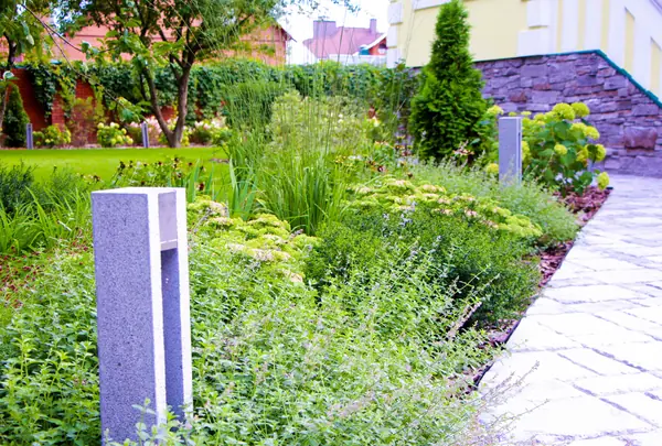 Долгопрудный, 2020 г.