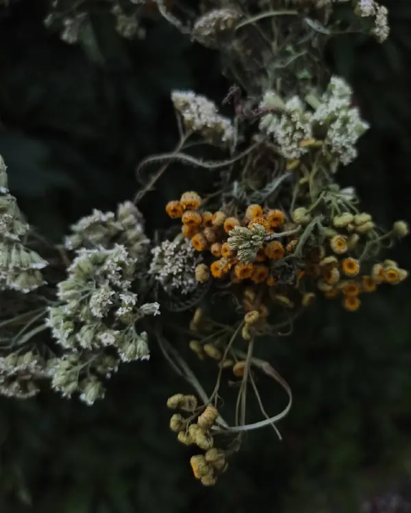 Декор из натуральных материалов