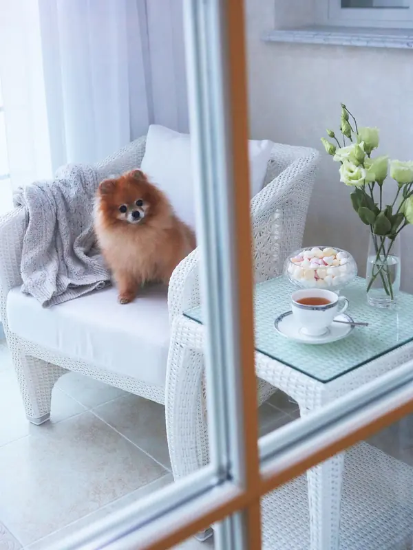 Классический стиль в интерьере квартиры и дома