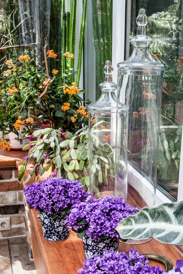 "Второе дыхание"