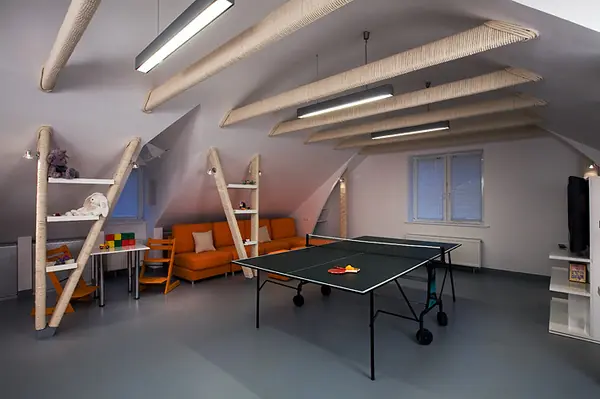 "Чердак для Чемпионов" для программы "Дачный ответ" на НТВ