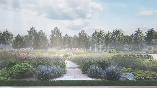 Визуализации к проектам Верево